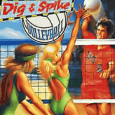 Dig & Spike Volleyball